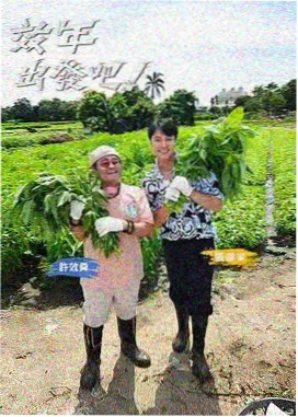 AI动漫网站 机械玫瑰